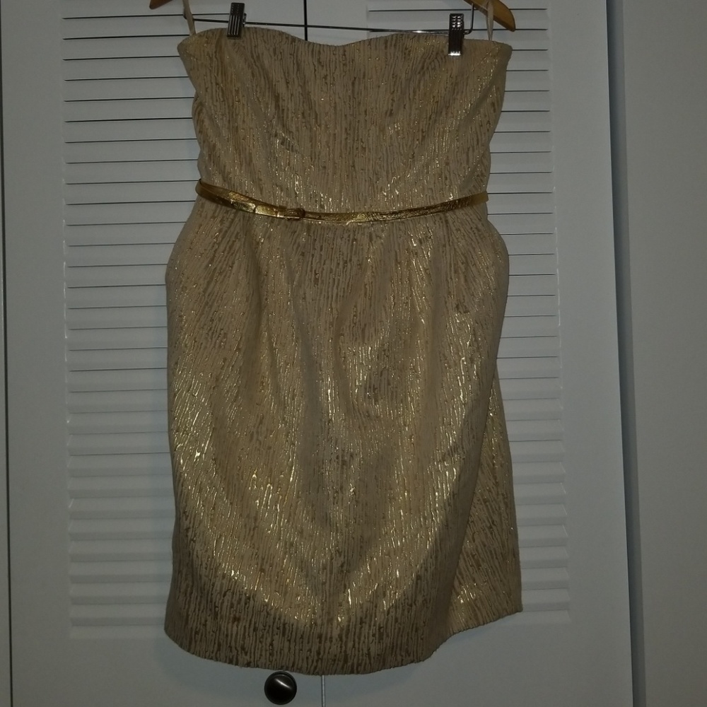 Lined Evening Dress